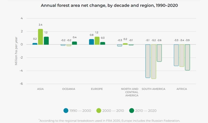 forest-area-net-1.webp
